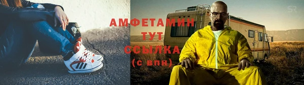 шишки Вязники