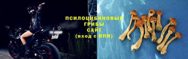 мдма Вяземский