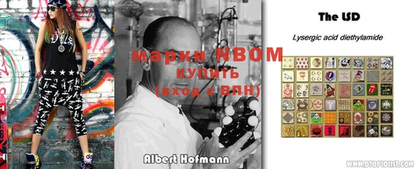 шишки Вязники