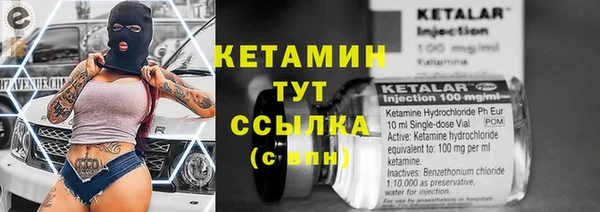 шишки Вязники