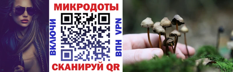Псилоцибиновые грибы ЛСД  купить закладку  Назрань 